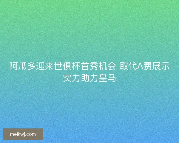阿瓜多迎来世俱杯首秀机会 取代A费展示实力助力皇马
