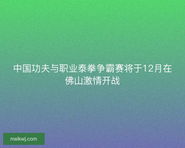中国功夫与职业泰拳争霸赛将于12月在佛山激情开战